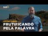 Luciano Subirá - FRUTIFICANDO PELA PALAVRA